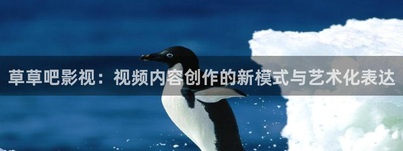 四川宜宾南瓜