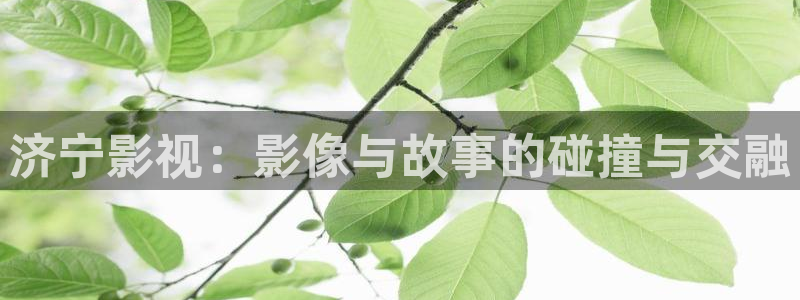 河北的南瓜：济宁影视：影像与故事的碰撞与交融