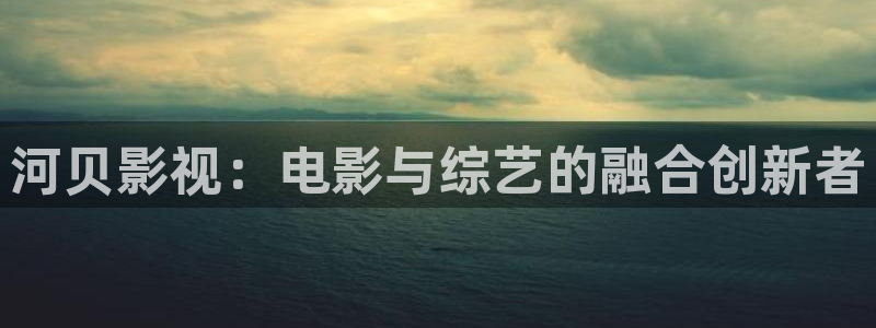 南瓜播放器