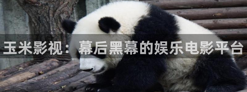 南瓜影院在线