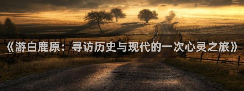 南瓜影视在线观看：《游白鹿原：寻访历史与现代的一次心灵之旅》